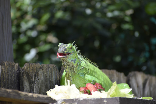 Pet Supply Store «Pet Supplies Plus», reviews and photos, 4923 Sheridan St, Hollywood, FL 33021, USA