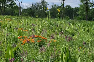 Somme Prairie Nature Preserve image