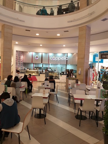 Polemic Mall Plaza Tobalaba - Tienda de ropa