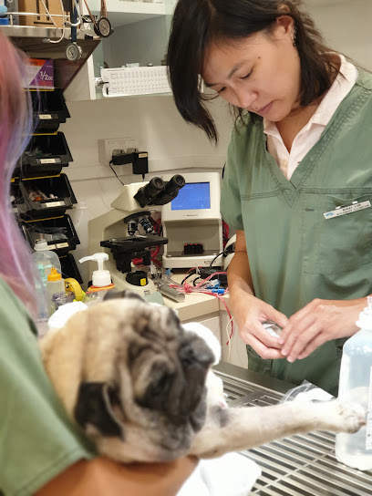 Vets for Life Animal Clinic (River Valley)