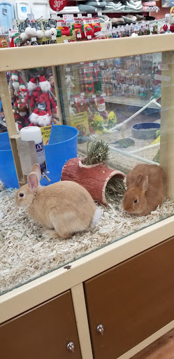Pet Supply Store «Pet Supermarket, Inc.», reviews and photos, 18445 US-41, Lutz, FL 33549, USA