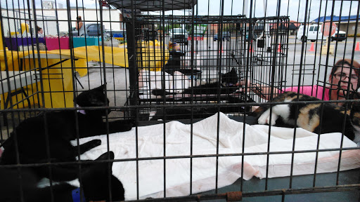 Home Improvement Store «Tractor Supply Co.», reviews and photos, 200 Hobson St, McMinnville, TN 37110, USA