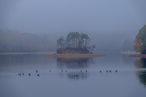State Park «Hopkinton State Park», reviews and photos, 164 Cedar St, Hopkinton, MA 01748, USA
