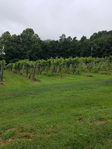 Winery «Fincastle Vineyard & Winery», reviews and photos, 203 Maple Ridge Ln, Fincastle, VA 24090, USA