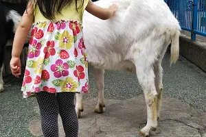 Itabashi Children's Zoo Takashimadaira Branch image