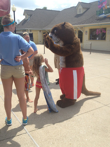 Water Park «Deep River Waterpark», reviews and photos, 9001 E Lincoln Hwy, Crown Point, IN 46307, USA