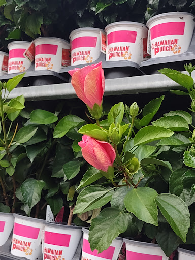 Home Improvement Store «The Home Depot», reviews and photos, 1155 High St, Wadsworth, OH 44281, USA