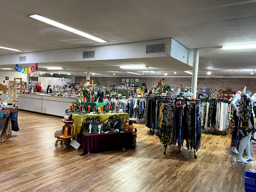 Metaphysical Supply Store «Stone Age: Crystals and Gems», reviews and photos, 2415 N Monroe St, Tallahassee, FL 32303, USA