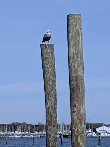 Park «Branford Point», reviews and photos, 4 Harbor St, Branford, CT 06405, USA