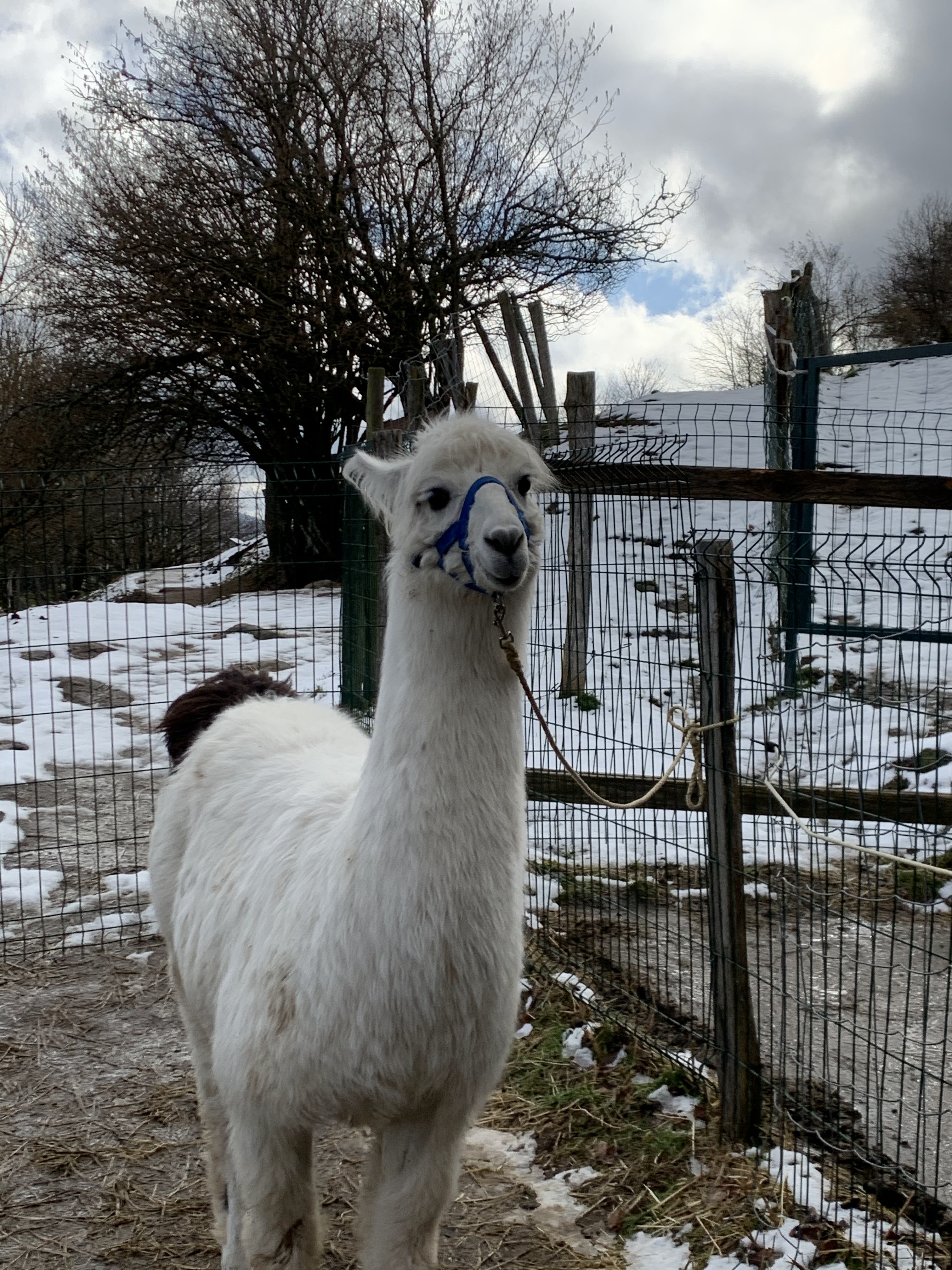 Photo n° 2 de l'avis de Gwendoline.a fait le 20/02/2020 à 15:02