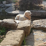 Photo n°4 de l'avis de Jürgen.r fait le 07/08/2019 à 13:15 sur le  Gasthof Kompf à Kusterdingen