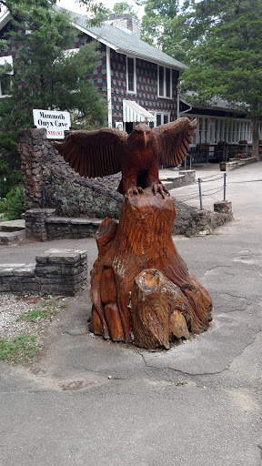 Zoo «Kentucky Down Under Adventure Zoo», reviews and photos, 3700 L and N Turnpike Rd, Horse Cave, KY 42749, USA