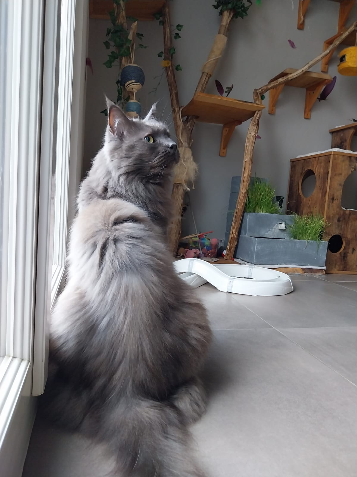 Photo n° 4 de l'avis de Lisa.O fait le 29/11/2023 à 10:08