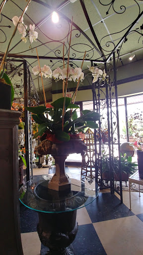 Florist «Tiger Lily», reviews and photos, 1619 Desoto Rd, Sarasota, FL 34234, USA