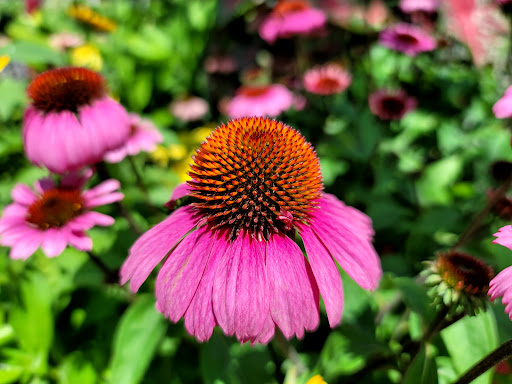 Home Improvement Store «The Home Depot», reviews and photos, 5455 Fairmont Pkwy, Pasadena, TX 77505, USA