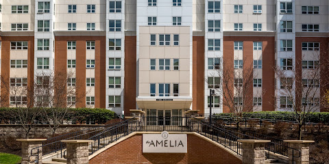 The Amelia Apartments