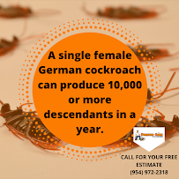 Forever Gone Pest Control - Photo 7 - Car repair in , West Palm Beach