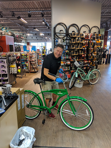 Bicycle wholesaler Chesapeake