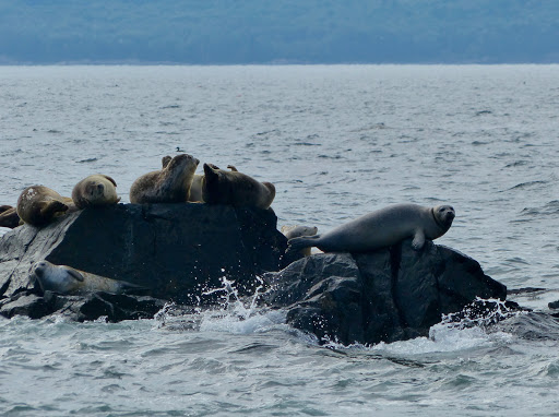 Sightseeing Tour Agency «Lulu Lobster Boat Ride», reviews and photos, 55 West St, Bar Harbor, ME 04609, USA