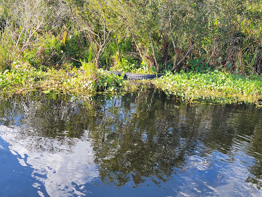 Recreation «Kissimmee Swamp Tours», reviews and photos, 4500 Joe Overstreet Rd, Kenansville, FL 34739, USA