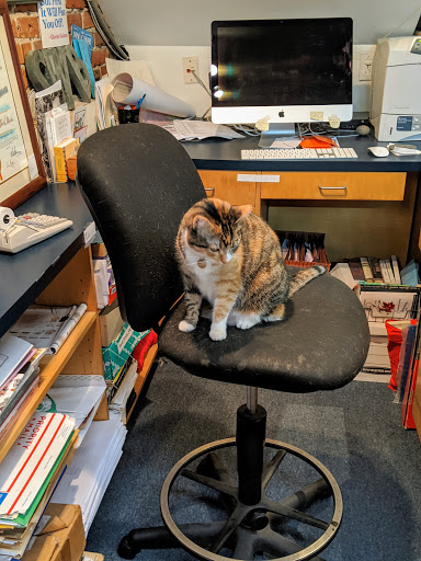 Book Store «Small World Books», reviews and photos, 1407 Ocean Front Walk, Venice, CA 90291, USA