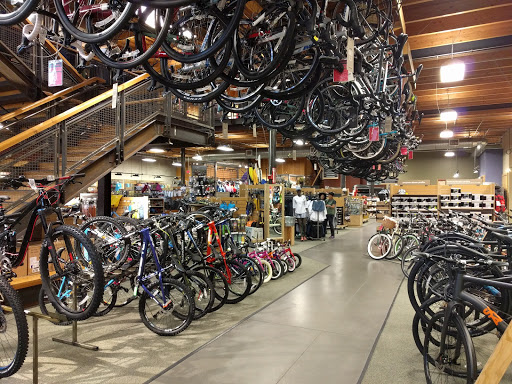 Camping Store «REI», reviews and photos, 2450 Charleston Rd, Mountain View, CA 94043, USA