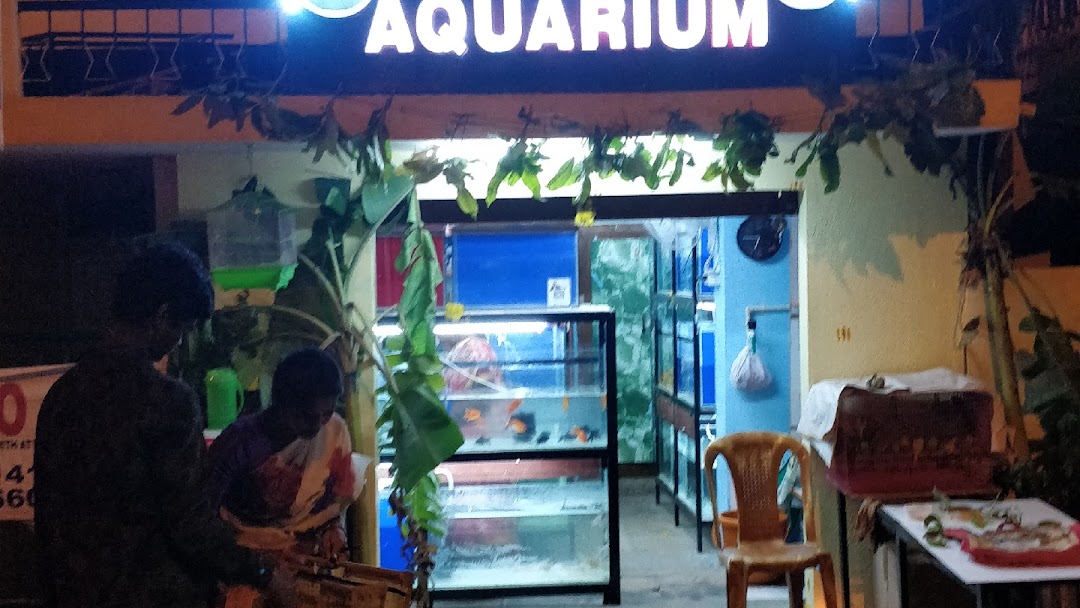 Ocean Feathers Aquarium