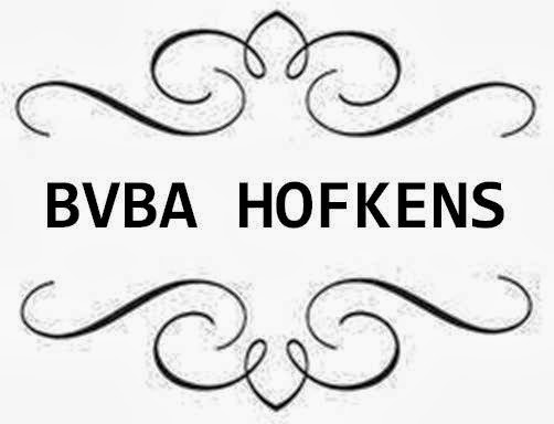 Beoordelingen van BVBA HOFKENS "Verzekeringen Hofkens" in Geel - Verzekeringsagentschap