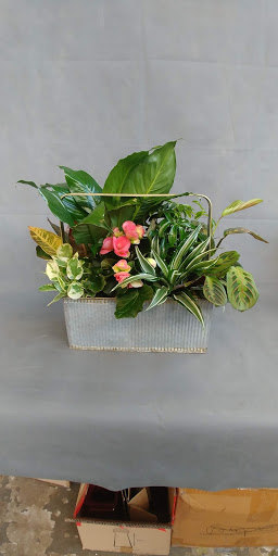 Florist «Teefey Flowers», reviews and photos, 9716 Holmes Rd, Kansas City, MO 64131, USA