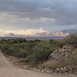 Galiuro Wilderness