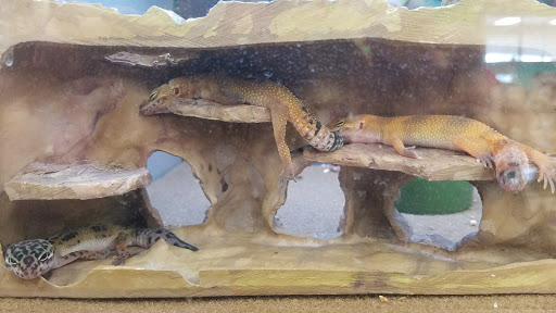 Pet Supply Store «Petco Animal Supplies», reviews and photos, 280 Kensington Blvd, Slidell, LA 70458, USA