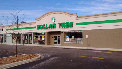 Dollar Store «Dollar Tree», reviews and photos, 457 E Cass St, Joliet, IL 60432, USA