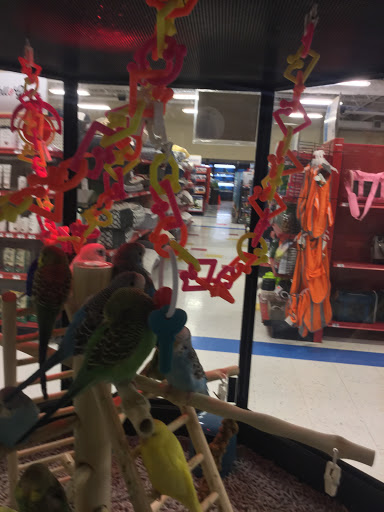 Pet Supply Store «Petco Animal Supplies», reviews and photos, 13053 Lee Jackson Memorial Hwy b, Fairfax, VA 22033, USA