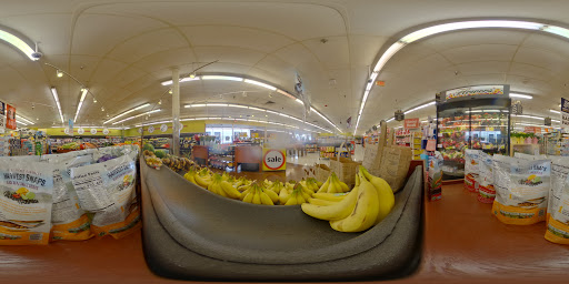 Grocery Store «Winn-Dixie», reviews and photos, 2200 S Atlantic Ave, Daytona Beach Shores, FL 32118, USA