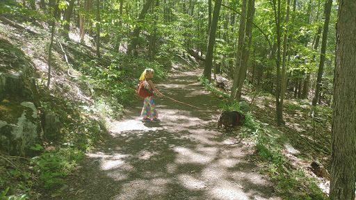 Nature Preserve «John Burroughs Slabsides», reviews and photos, Burroughs Dr, West Park, NY 12493, USA