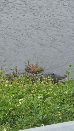 Grocery Store «La Frontera», reviews and photos, 1600 W Canal St N, Belle Glade, FL 33430, USA