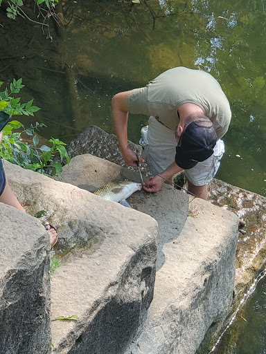 Nature Preserve «Canawaugus Park», reviews and photos, Rochester St, Scottsville, NY 14546, USA