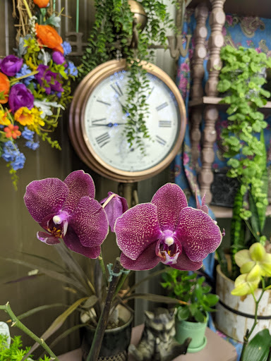 Greenhouse «Stony Hill Gardens», reviews and photos, 8 NJ-24, Chester, NJ 07930, USA