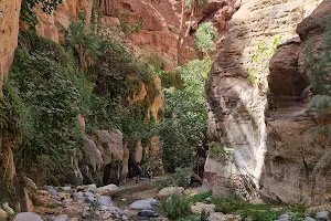 Wadi Ghuweir image