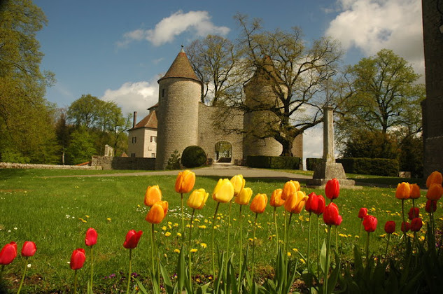 Photos du propriétaire hôtels Château d'Andelot 39320 Andelot-Morval