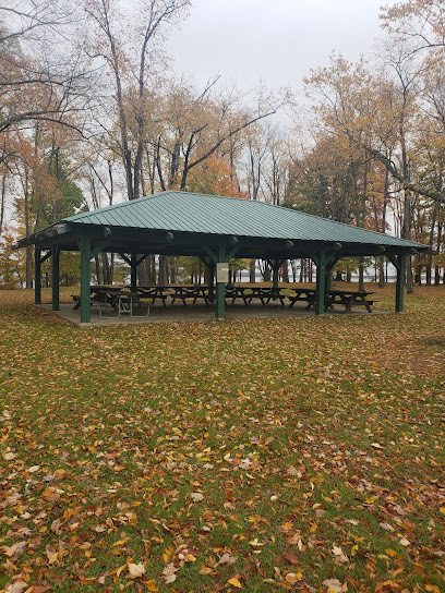 Popular grove picnic area