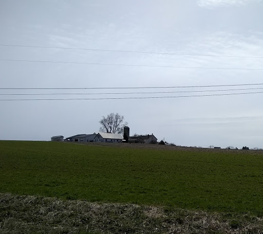 Nature Preserve «Sadsbury Woods Preserve», reviews and photos, Ramblewood Dr & Northwood Dr, Coatesville, PA 19320, USA