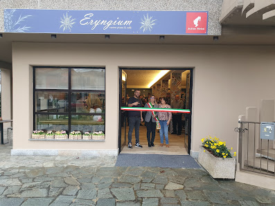 Eryngium di Bassano Claudia Via Elena Porta Spinola, 2, 27040 Campospinoso Albaredo PV, Italia