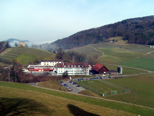 Rezensionen über Wohnschule auf dem Freienstein in Bülach - Schule