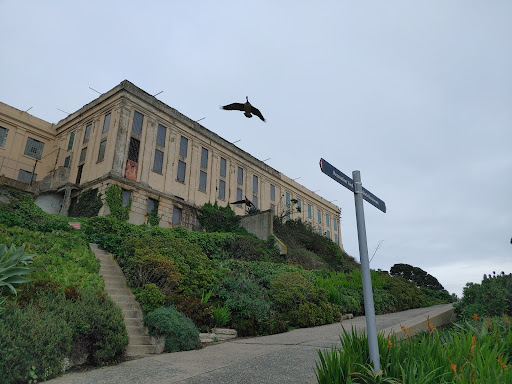 Alcatraz Island Tours