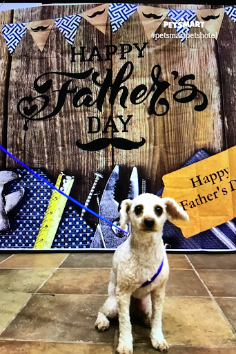 Pet Supply Store «PetSmart», reviews and photos, 5 Main St, East Hartford, CT 06118, USA