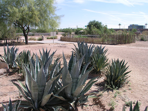 History Museum «Pueblo Grande», reviews and photos, 4619 E Washington St, Phoenix, AZ 85034, USA