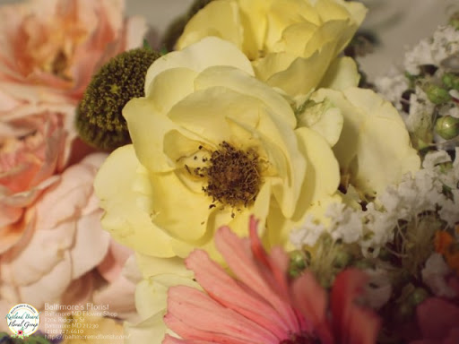 Florist «The Flower Shop», reviews and photos, 1065 S Charles St, Baltimore, MD 21230, USA