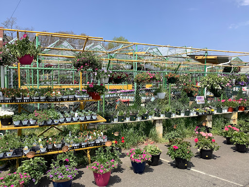 Florist «Dutch & Olgas Greenhouse», reviews and photos, 1285 NJ-36, Hazlet, NJ 07730, USA