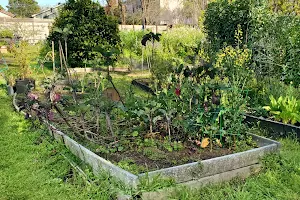 Bancroft Community Garden image
